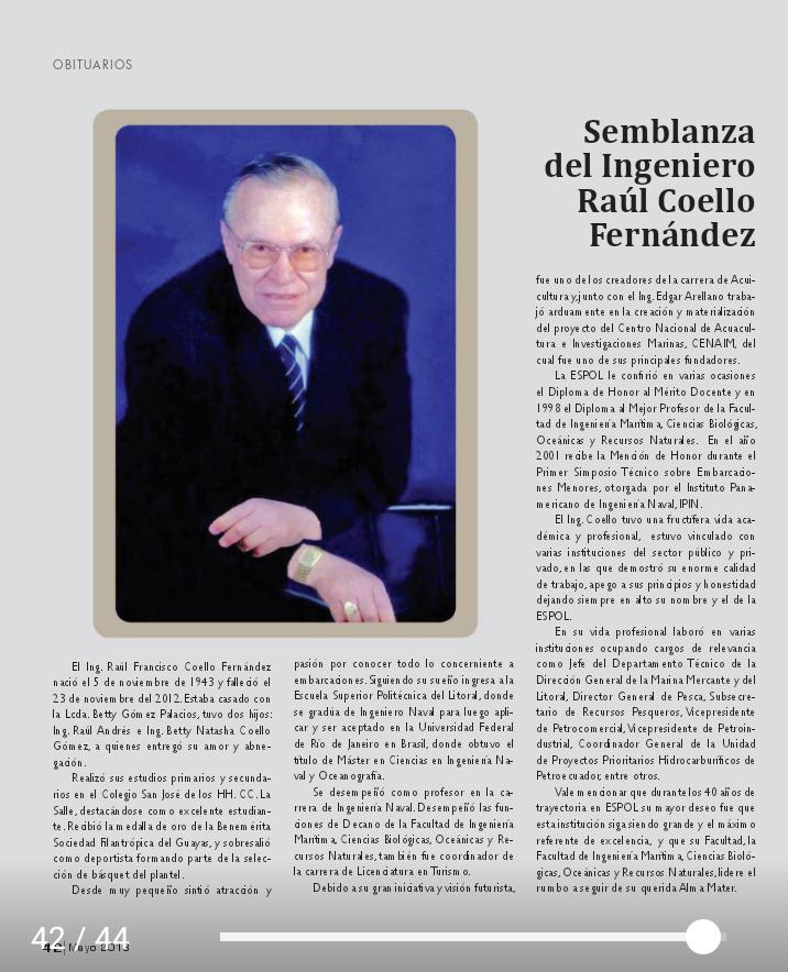 ING. RAUL COELLO FERNANDEZ