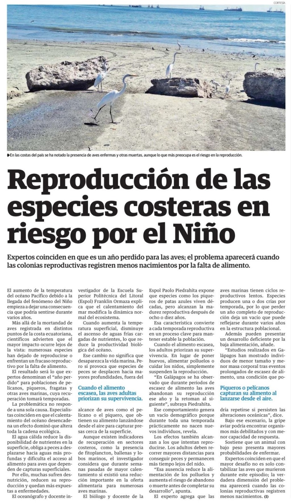REPRODUCCIÓN DE LAS ESPECIES COSTERAS EN RIESGO POR EL NIÑO