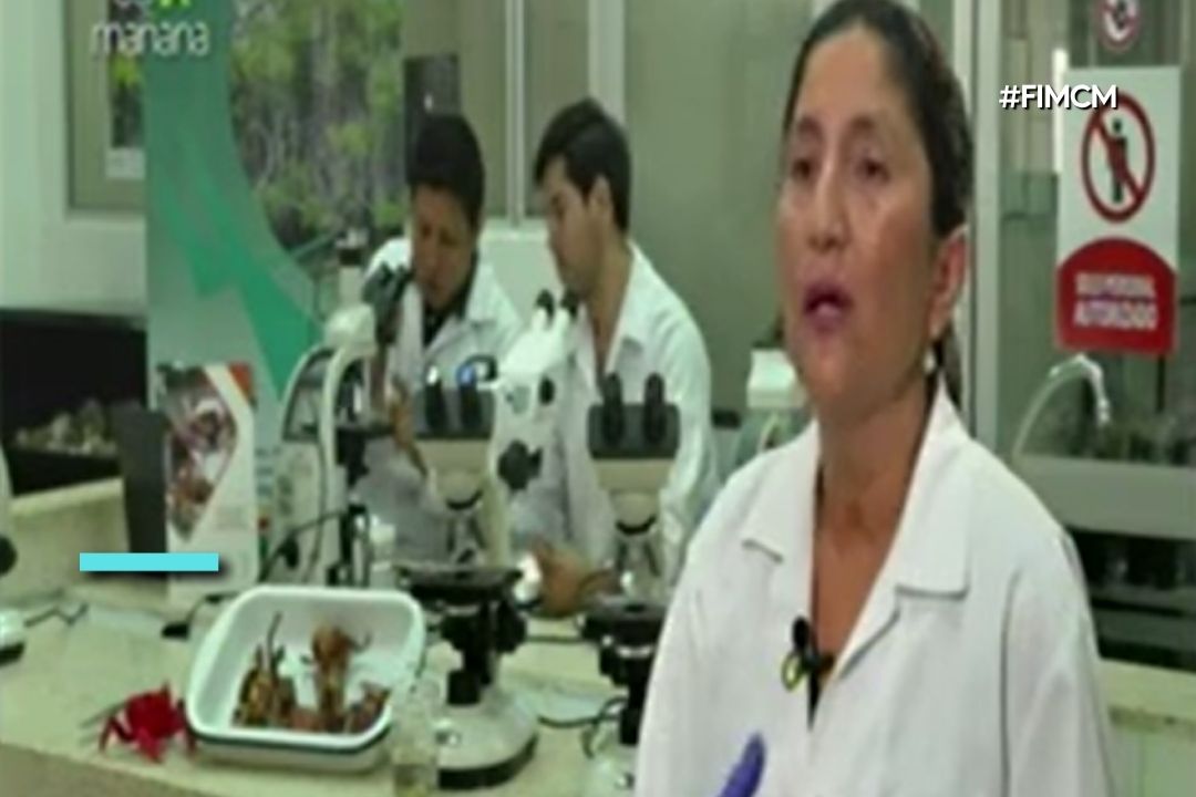 ACUICULTURA