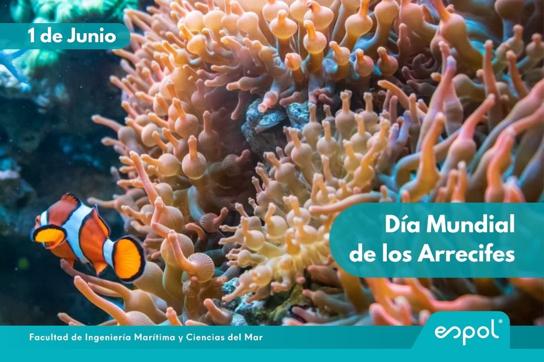 arrecifes