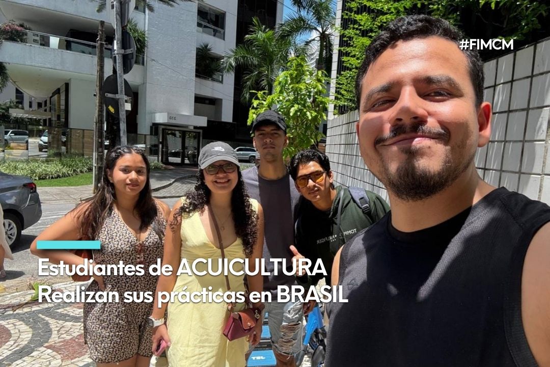 brasil