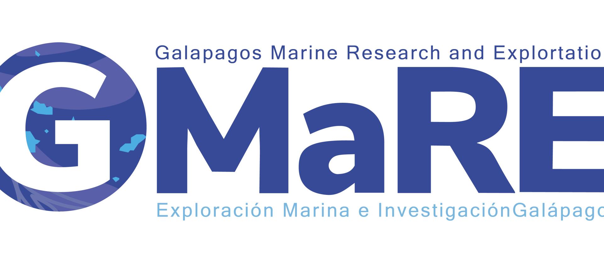 logo gmare