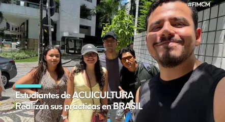 brasil