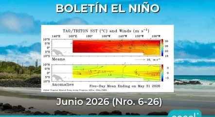 BOLETIN NRO. 6-26